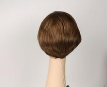 Load image into Gallery viewer, Ash Brown Dorothy With Highlights Size Large