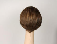 Load image into Gallery viewer, Ash Brown Dorothy With Highlights Size Large