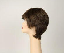 Load image into Gallery viewer, Linda Light Brown With Blonde Highlights Size L