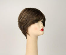 Load image into Gallery viewer, Linda Light Brown With Blonde Highlights Size L