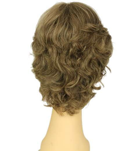 Load image into Gallery viewer, Linda Grey Hair Multi-Directional Skin Part Size S
